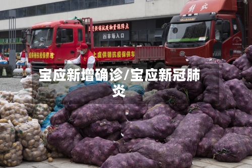 宝应新增确诊/宝应新冠肺炎-第2张图片