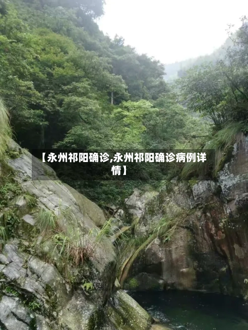 【永州祁阳确诊,永州祁阳确诊病例详情】