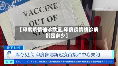 【印度疫情确诊数量,印度疫情确诊病例是多少】-第2张图片