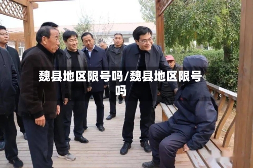 魏县地区限号吗/魏县地区限号吗-第3张图片