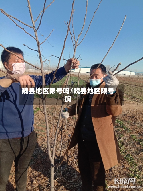 魏县地区限号吗/魏县地区限号吗-第2张图片