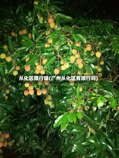 从化区限行嘛(广州从化区有限行吗)-第2张图片