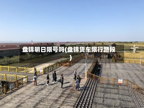 盘锦明日限号吗(盘锦货车限行路段)-第2张图片