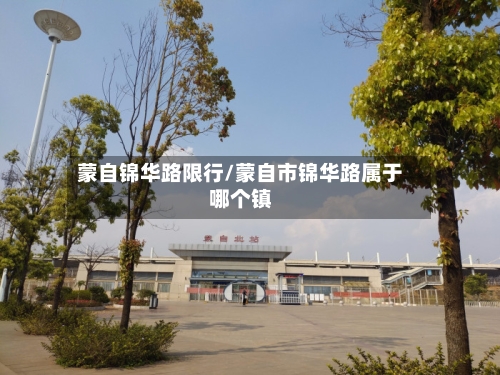 蒙自锦华路限行/蒙自市锦华路属于哪个镇-第2张图片