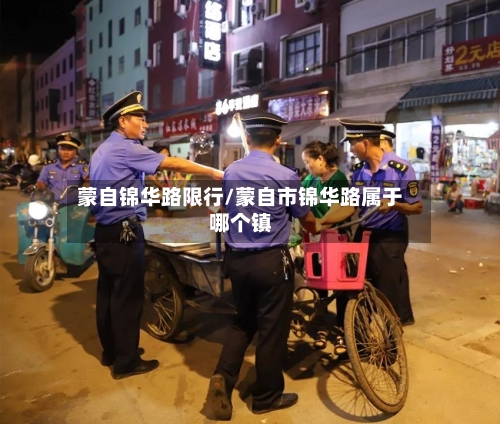 蒙自锦华路限行/蒙自市锦华路属于哪个镇-第3张图片