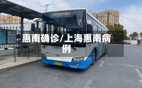 惠南确诊/上海惠南病例-第2张图片