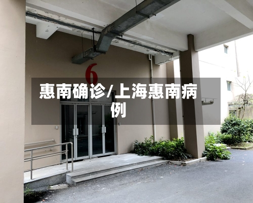 惠南确诊/上海惠南病例-第3张图片