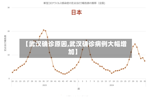 【武汉确诊原因,武汉确诊病例大幅增加】-第3张图片