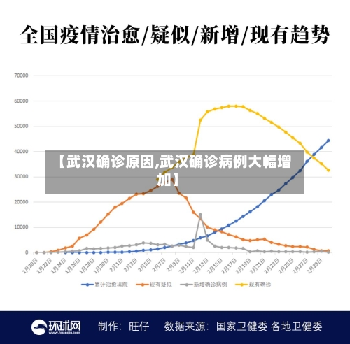【武汉确诊原因,武汉确诊病例大幅增加】-第2张图片