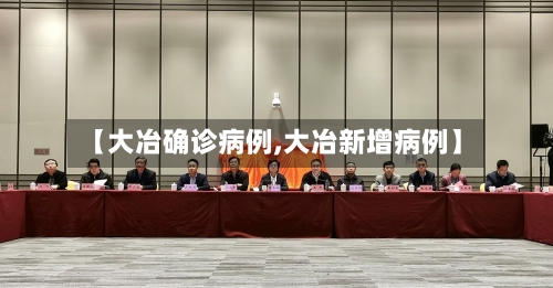 【大冶确诊病例,大冶新增病例】-第2张图片