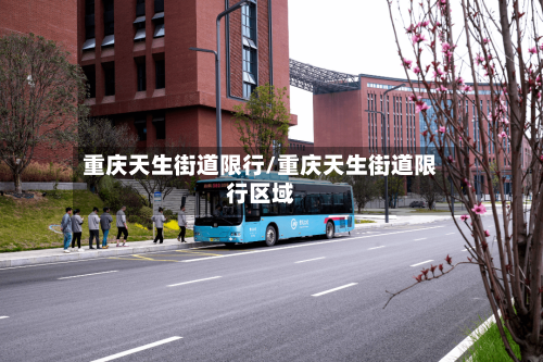 重庆天生街道限行/重庆天生街道限行区域