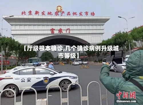 【厅级根本确诊,几个确诊病例升级城市等级】-第3张图片