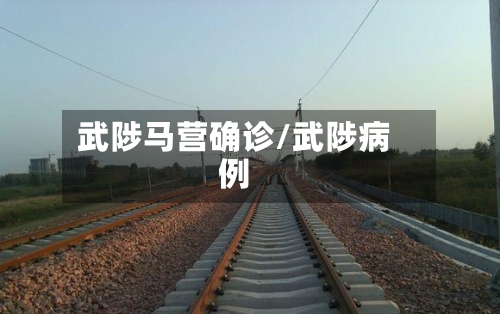 武陟马营确诊/武陟病例-第3张图片
