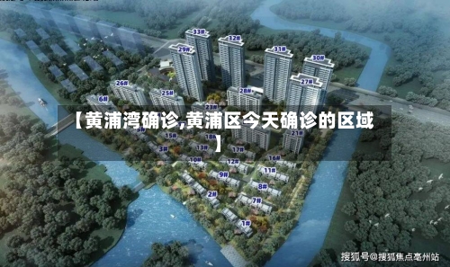 【黄浦湾确诊,黄浦区今天确诊的区域】-第2张图片