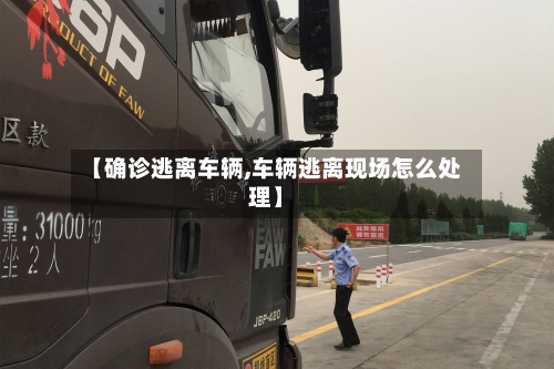 【确诊逃离车辆,车辆逃离现场怎么处理】-第2张图片
