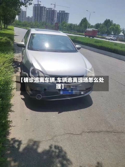 【确诊逃离车辆,车辆逃离现场怎么处理】