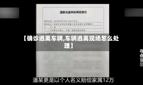 【确诊逃离车辆,车辆逃离现场怎么处理】-第3张图片