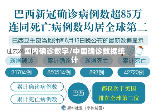 国内确诊数字/中国确诊数据统计
