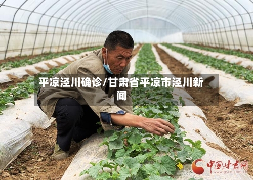平凉泾川确诊/甘肃省平凉市泾川新闻-第2张图片