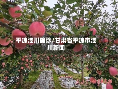 平凉泾川确诊/甘肃省平凉市泾川新闻