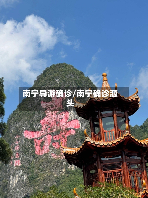 南宁导游确诊/南宁确诊源头