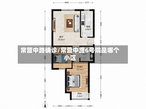 常营中路确诊/常营中路6号院是哪个小区-第2张图片