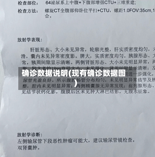 确诊数据说明(现有确诊数据图)-第3张图片