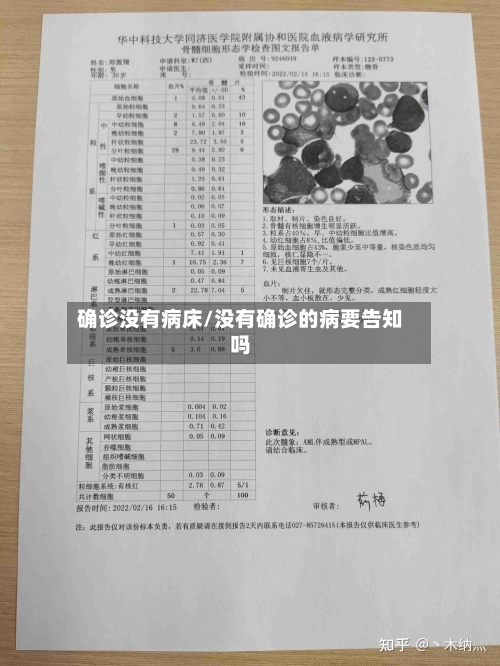 确诊没有病床/没有确诊的病要告知吗-第2张图片