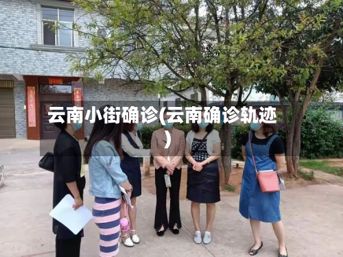 云南小街确诊(云南确诊轨迹)-第2张图片