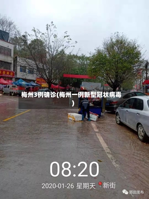 梅州3例确诊(梅州一例新型冠状病毒)