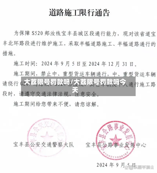 大荔限号罚款吗/大荔限号罚款吗今天-第2张图片