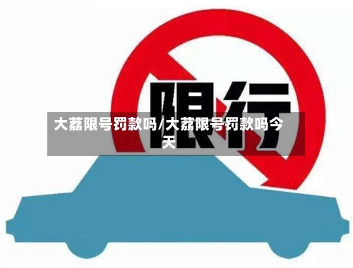 大荔限号罚款吗/大荔限号罚款吗今天-第3张图片