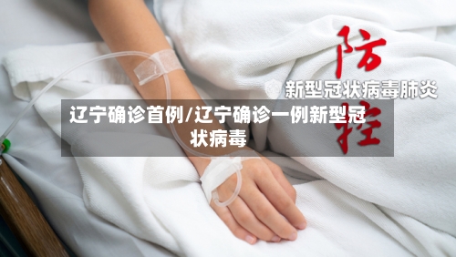 辽宁确诊首例/辽宁确诊一例新型冠状病毒-第3张图片
