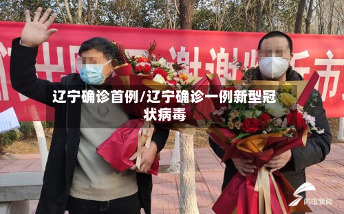 辽宁确诊首例/辽宁确诊一例新型冠状病毒