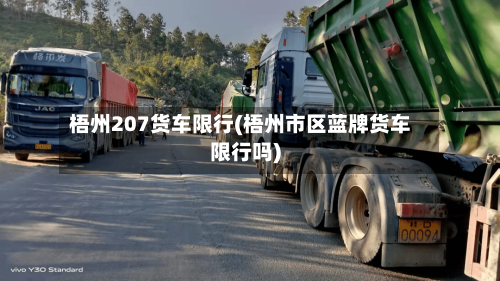 梧州207货车限行(梧州市区蓝牌货车限行吗)-第2张图片