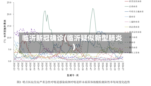 临沂新冠确诊(临沂疑似新型肺炎)