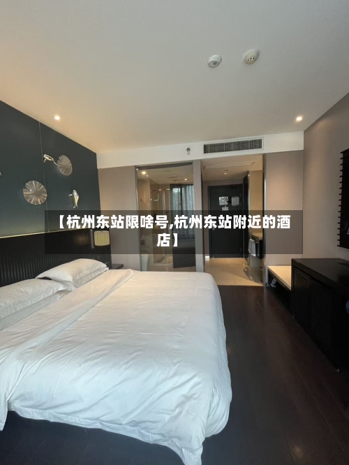 【杭州东站限啥号,杭州东站附近的酒店】