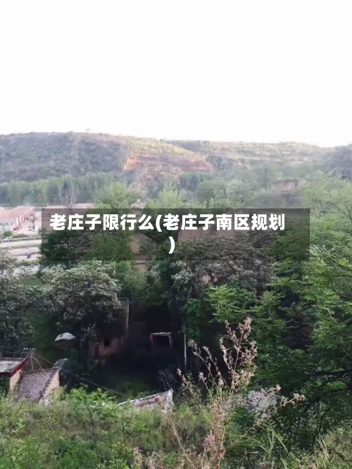 老庄子限行么(老庄子南区规划)-第3张图片