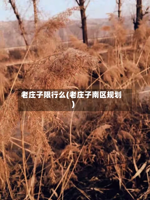 老庄子限行么(老庄子南区规划)