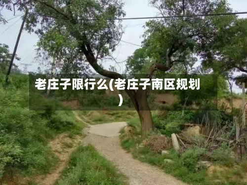 老庄子限行么(老庄子南区规划)-第2张图片