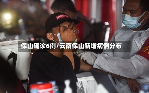 保山确诊6例/云南保山新增病例分布-第2张图片
