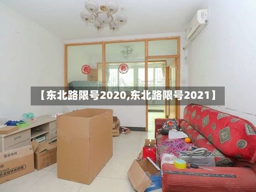 【东北路限号2020,东北路限号2021】-第3张图片
