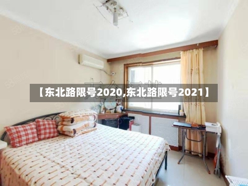 【东北路限号2020,东北路限号2021】-第2张图片