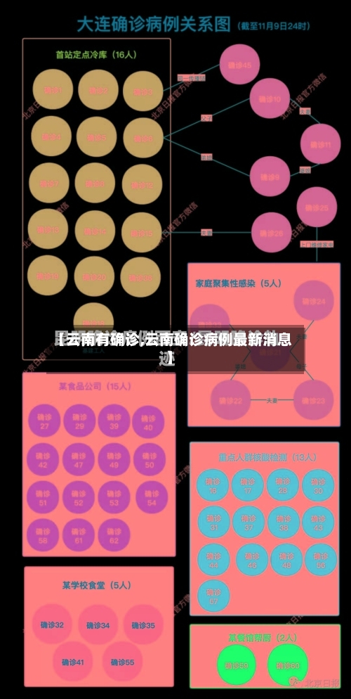 【云南有确诊,云南确诊病例最新消息】-第3张图片