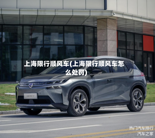 上海限行顺风车(上海限行顺风车怎么处罚)-第2张图片