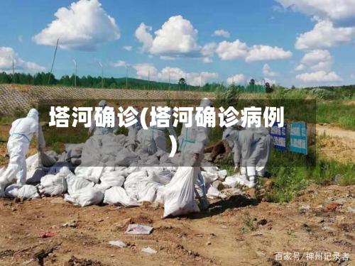 塔河确诊(塔河确诊病例)