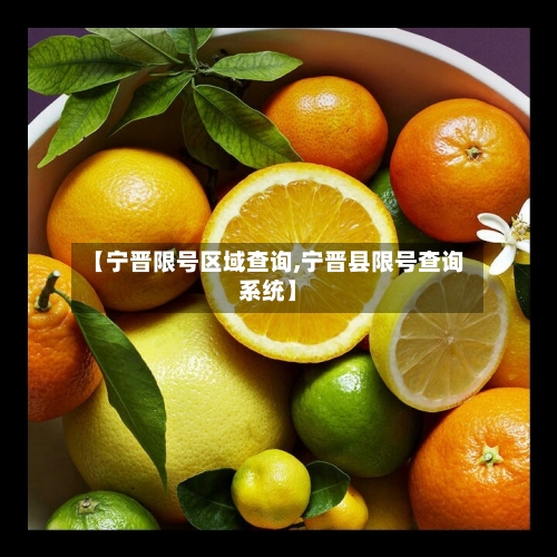 【宁晋限号区域查询,宁晋县限号查询系统】-第2张图片