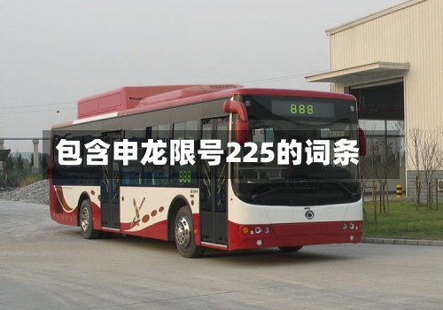 包含申龙限号225的词条