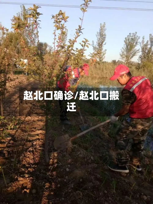 赵北口确诊/赵北口搬迁