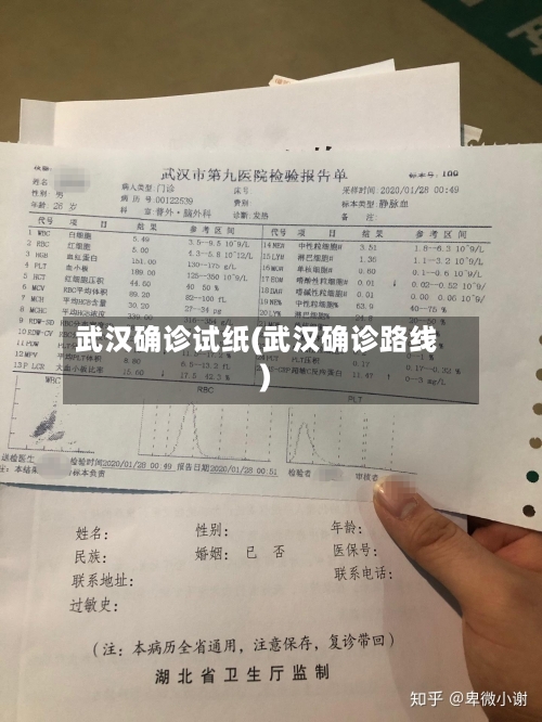 武汉确诊试纸(武汉确诊路线)